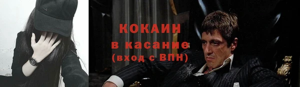 дмт Арсеньев