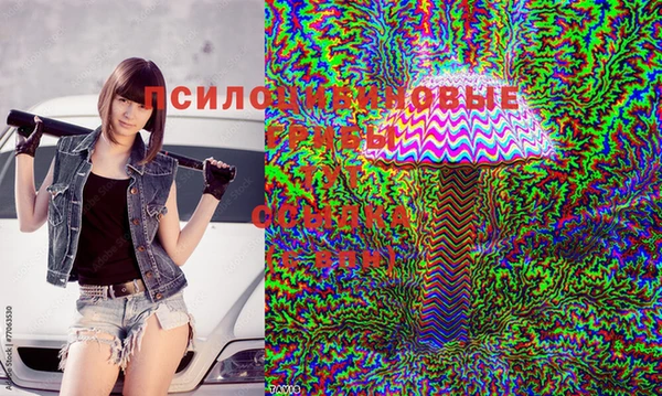 каннабис Аркадак